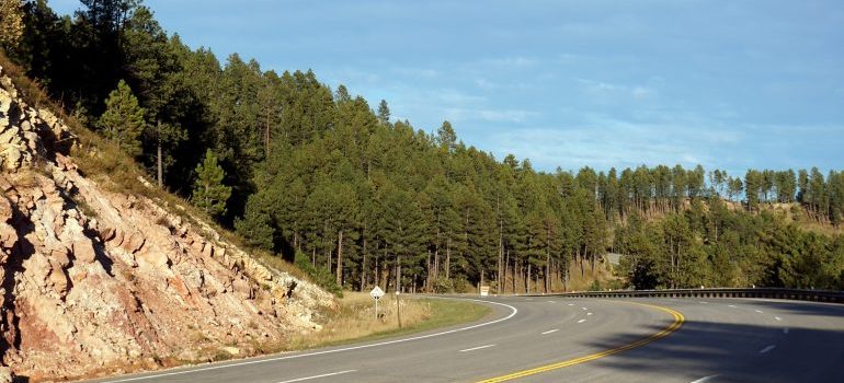 Two-lane highway curving through a pine forest on a clear day, like the drive when moving from Hattiesburg to Biloxi