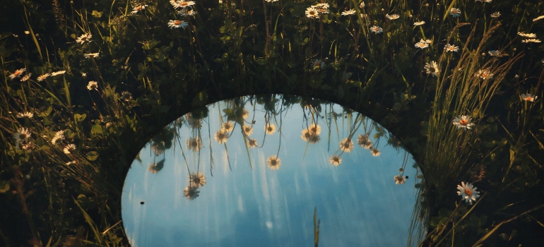 Round mirror lying in a field of grass and daisies, reflecting the blue sky, a reminder that mirrors should never lie flat in transit