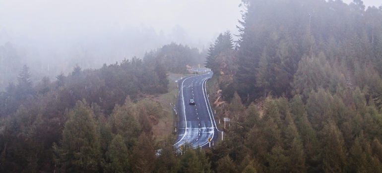 A road through the forest
