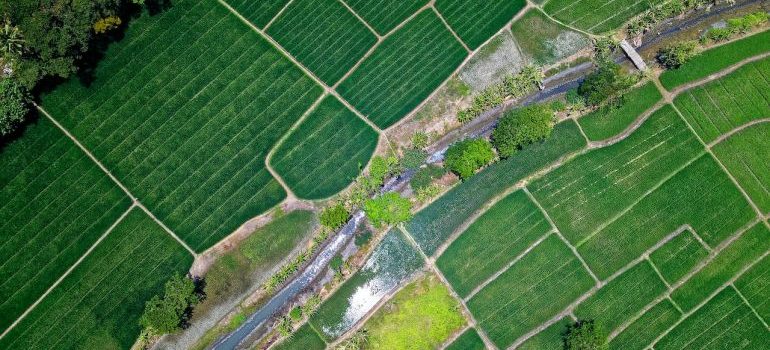 Aerial view of farm fields