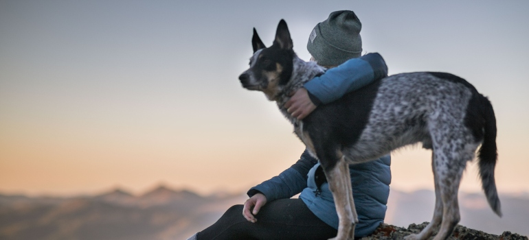 An owner and their pet hiking on a CO trail