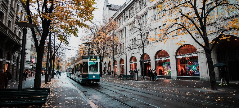 Street in Jackson during fall