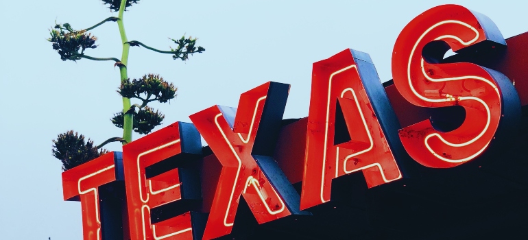 texas sign