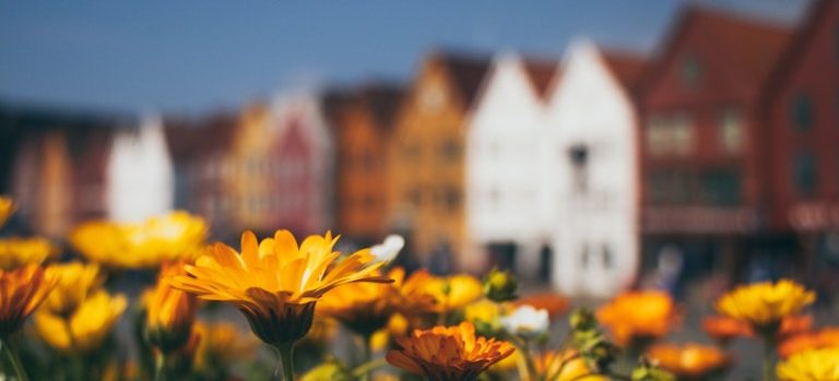 Should You Move to Senatobia or Hernando? The Appeal of Small-Town Living in Mississippi Explained