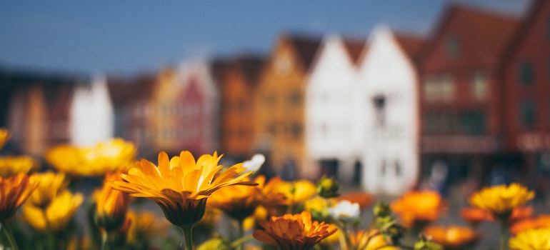blog-image