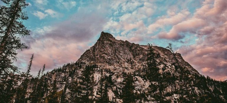 Rocky mountain peak and pine trees under a pink sky
