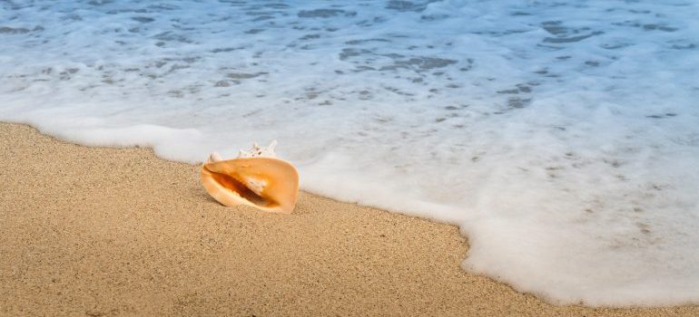 Close-up of white beach sand along the shoreline