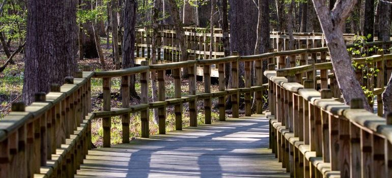 W.C. Johnson Park in Collierville, one of the best Tennessee cities for quality living