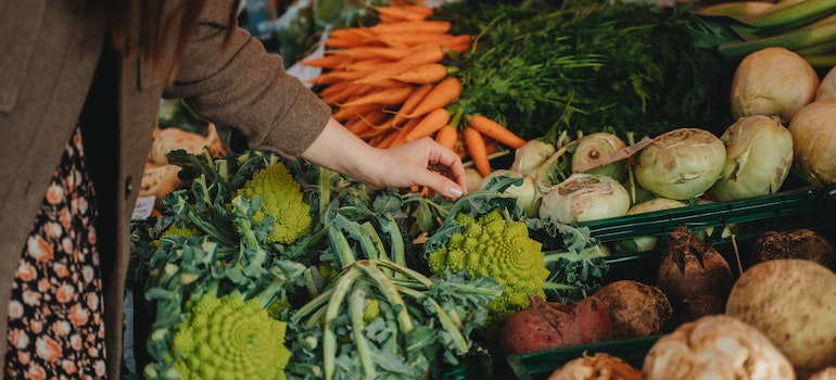 Fresh vegetables and produce displayed at a farmers' market stall