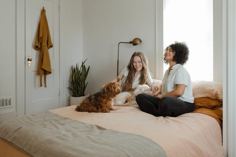 Tips for Moving with Pets to Oxford MS