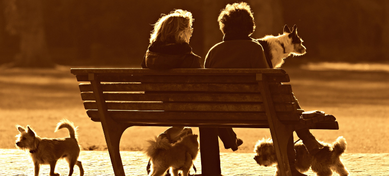 A happy couple sits on a park bench, smiling as they are ready to be moving with pets to Oxford MS