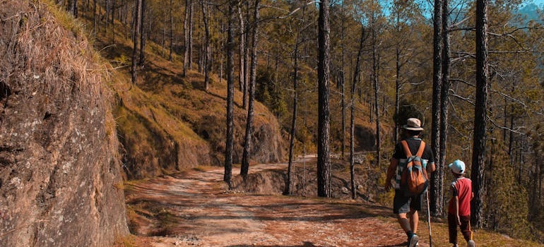 A parent and a young child walking together on a forest trail