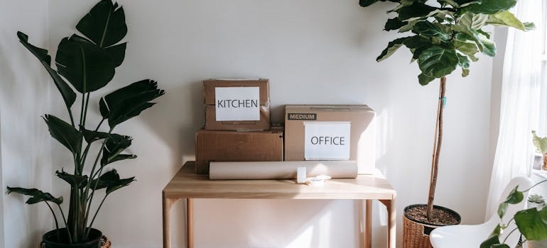 Labeled moving boxes you can use after deciding between packing by category vs packing by room